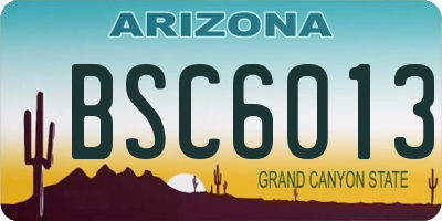 AZ license plate BSC6013