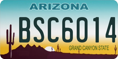 AZ license plate BSC6014