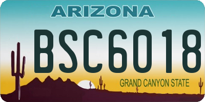 AZ license plate BSC6018