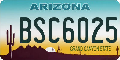 AZ license plate BSC6025