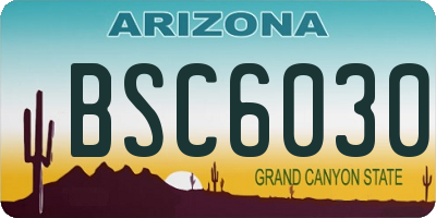 AZ license plate BSC6030