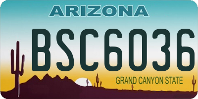 AZ license plate BSC6036