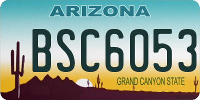 AZ license plate BSC6053