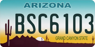 AZ license plate BSC6103