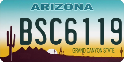 AZ license plate BSC6119