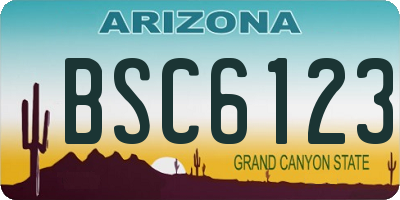 AZ license plate BSC6123