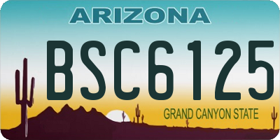 AZ license plate BSC6125