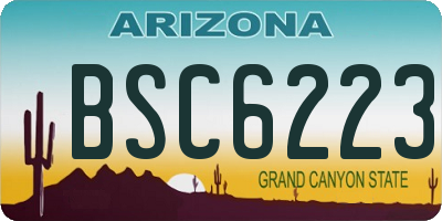 AZ license plate BSC6223