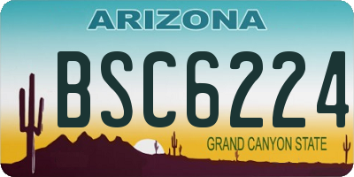 AZ license plate BSC6224