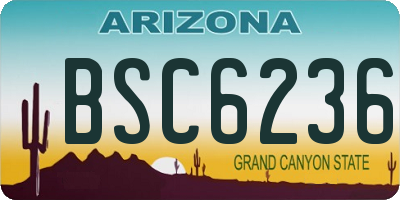 AZ license plate BSC6236