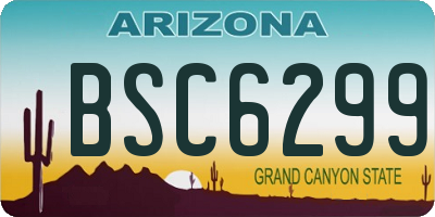 AZ license plate BSC6299