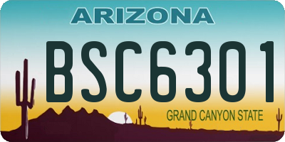 AZ license plate BSC6301
