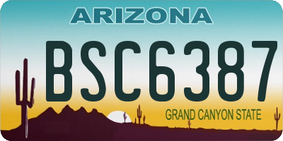 AZ license plate BSC6387