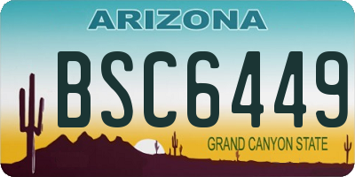 AZ license plate BSC6449