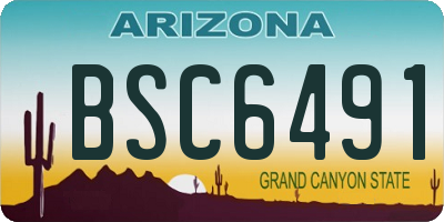 AZ license plate BSC6491