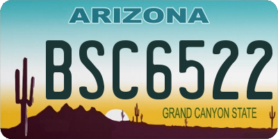 AZ license plate BSC6522