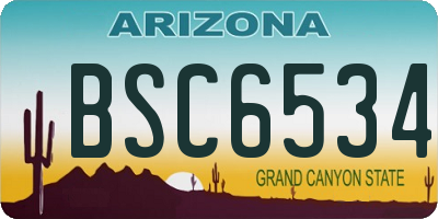 AZ license plate BSC6534