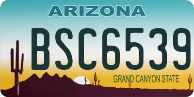 AZ license plate BSC6539