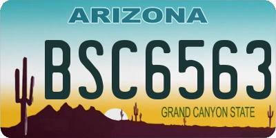 AZ license plate BSC6563