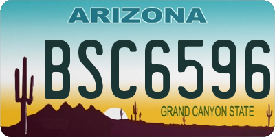 AZ license plate BSC6596