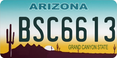 AZ license plate BSC6613