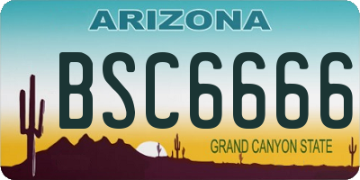 AZ license plate BSC6666