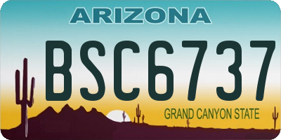 AZ license plate BSC6737