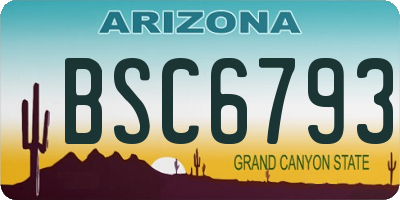 AZ license plate BSC6793