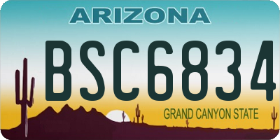 AZ license plate BSC6834