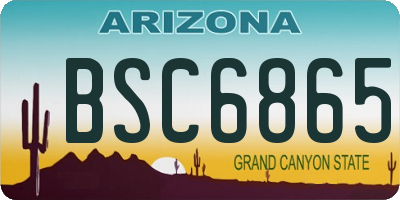 AZ license plate BSC6865