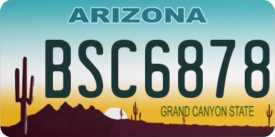 AZ license plate BSC6878