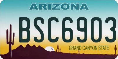 AZ license plate BSC6903