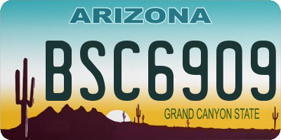 AZ license plate BSC6909