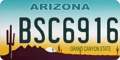 AZ license plate BSC6916