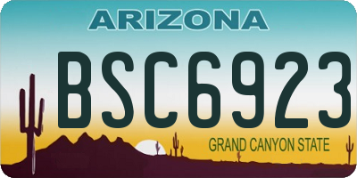 AZ license plate BSC6923