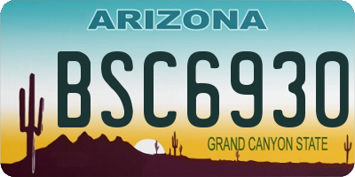 AZ license plate BSC6930