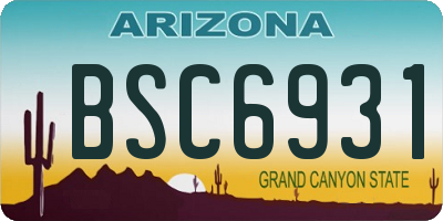 AZ license plate BSC6931