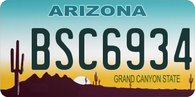 AZ license plate BSC6934