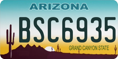 AZ license plate BSC6935