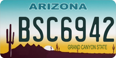 AZ license plate BSC6942