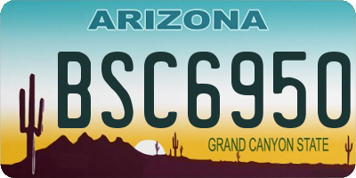 AZ license plate BSC6950