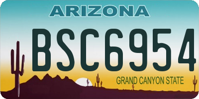 AZ license plate BSC6954