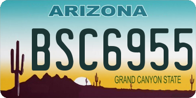 AZ license plate BSC6955