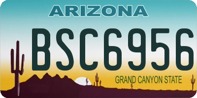 AZ license plate BSC6956