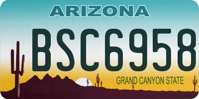 AZ license plate BSC6958