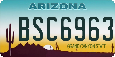 AZ license plate BSC6963