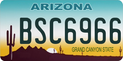 AZ license plate BSC6966