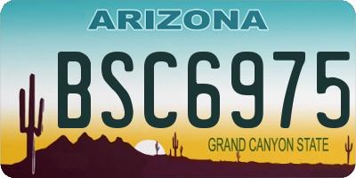 AZ license plate BSC6975