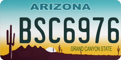 AZ license plate BSC6976