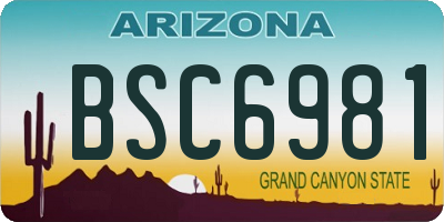 AZ license plate BSC6981